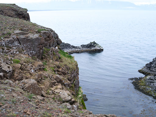 DSCF1401.jpg