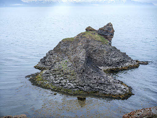 DSCF1402.jpg
