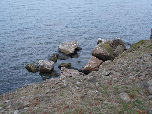 DSCF1403.jpg