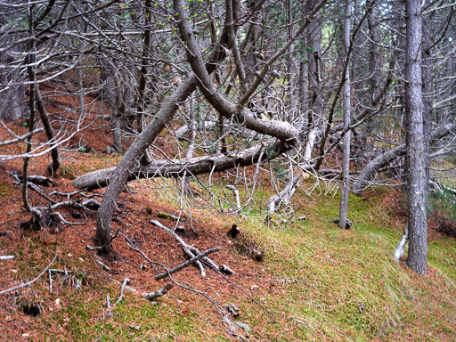 DSCF1408.jpg