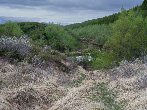 DSCF1412.jpg