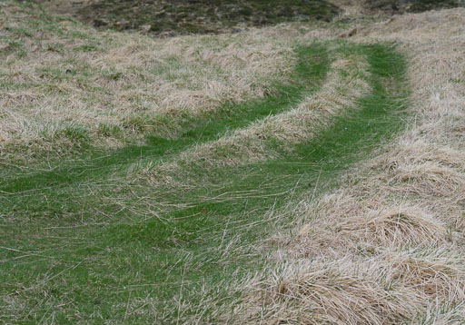 DSCF1413.jpg