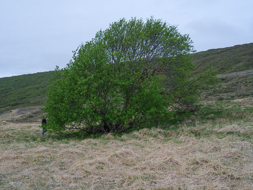 DSCF1414.jpg