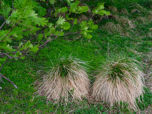 DSCF1416.jpg