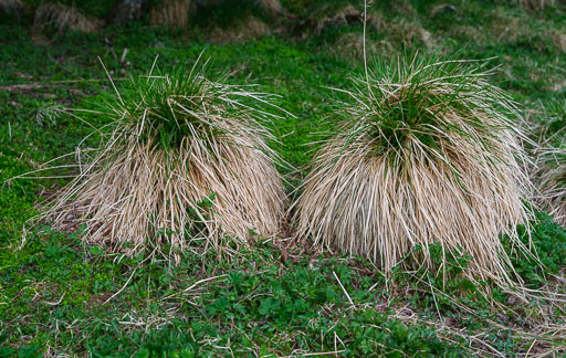 DSCF1417.jpg