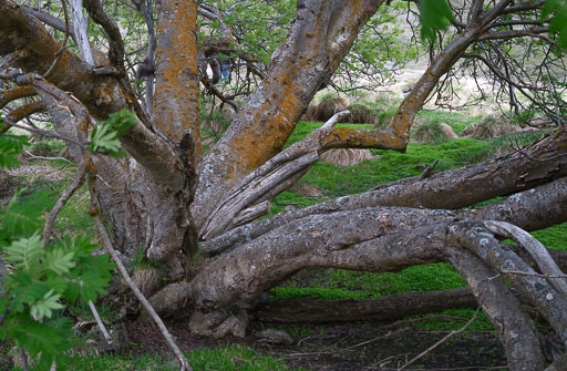 DSCF1419.jpg