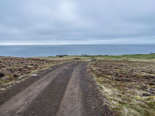 DSCF1557.jpg