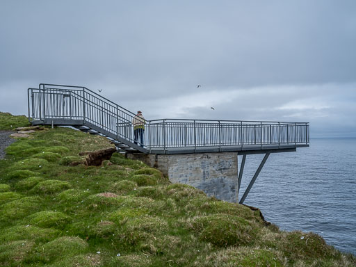 DSCF1572.jpg