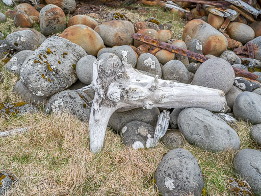 DSCF1584.jpg