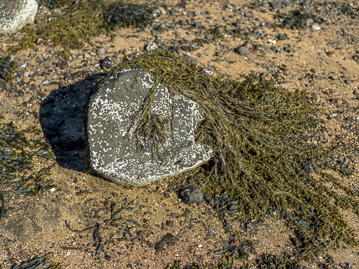 IMG_3809.jpg